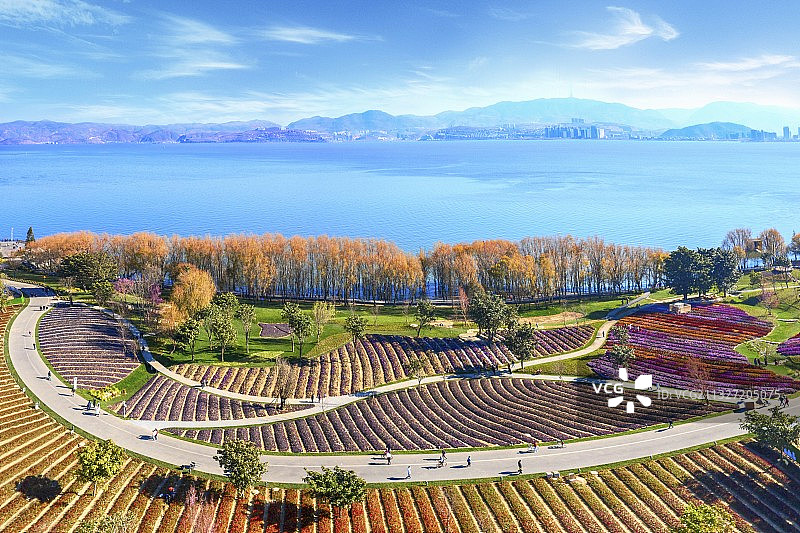 大理洱海生态廊道图片素材