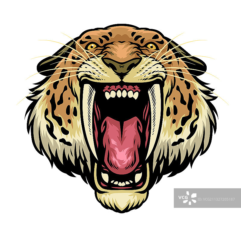 愤怒的剑齿狮头图片素材