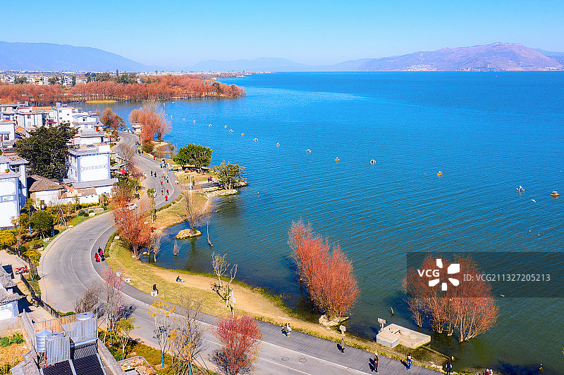 大理洱海生态廊道图片素材