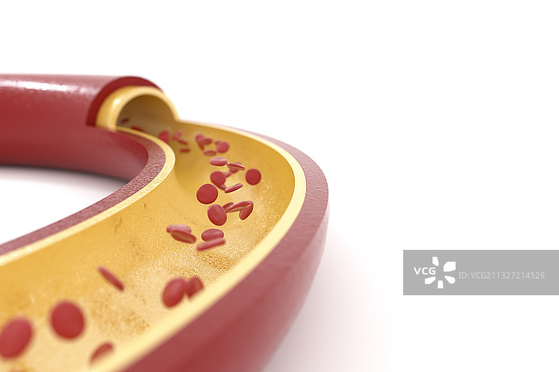 3d渲染的血管和血小板模型图片素材