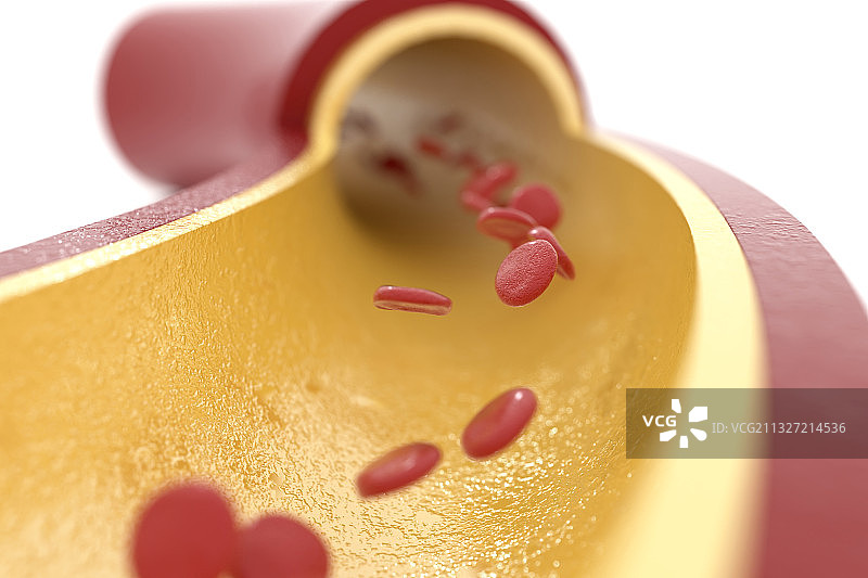 3d渲染的血管和血小板模型图片素材