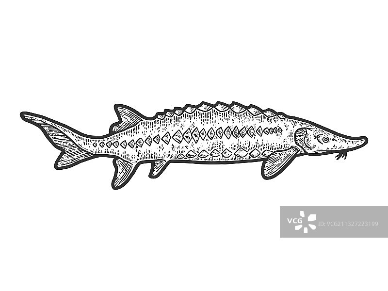 鲟鱼雕刻图案图片素材