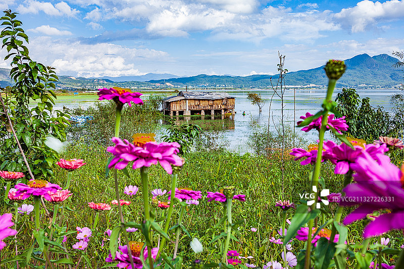 云南丽江拉市海图片素材