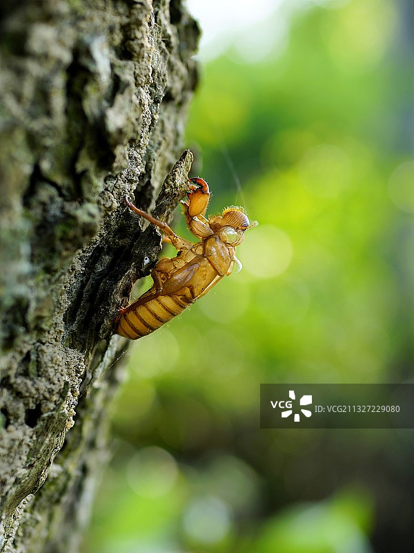 生命的痕迹图片素材