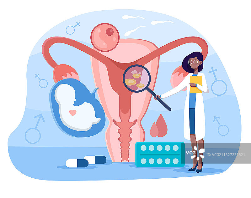 女医生进行子宫检查图片素材