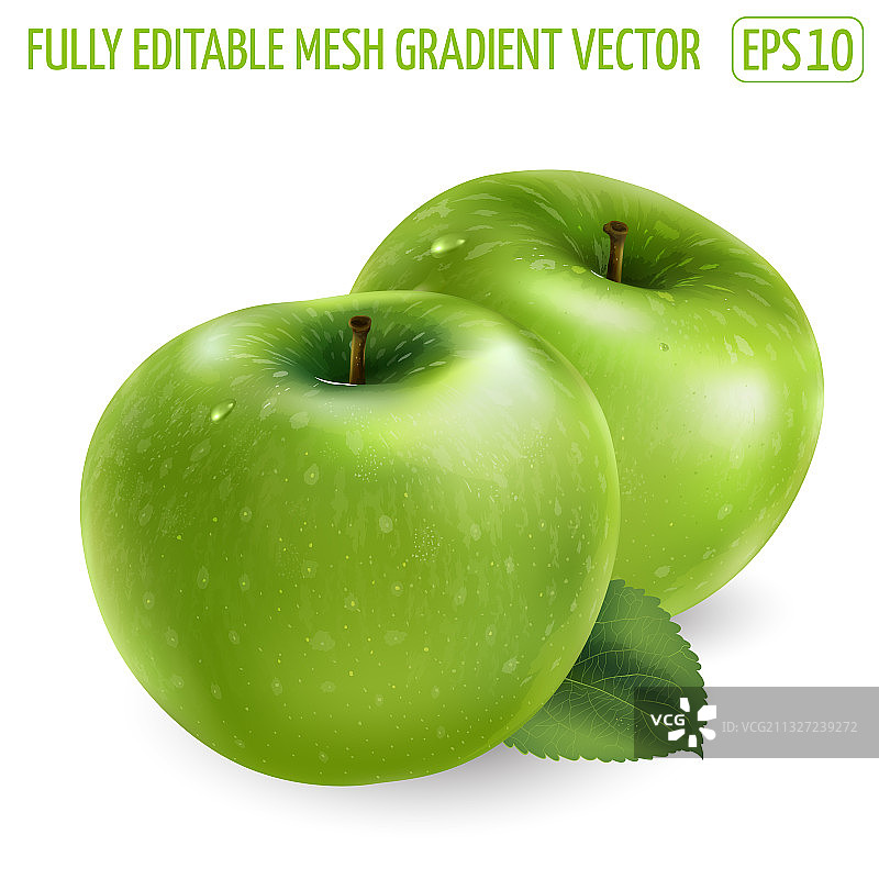 白色背景上的两个绿色成熟苹果图片素材