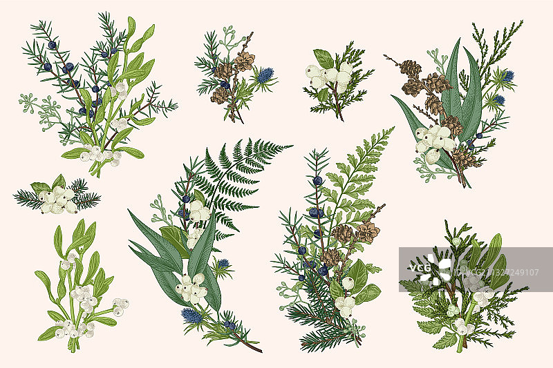 绿色花束素材图片素材