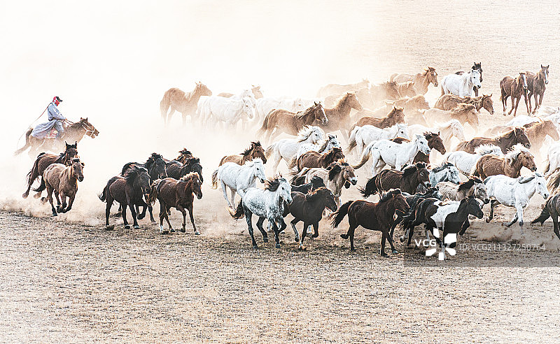 秋日赶马图片素材