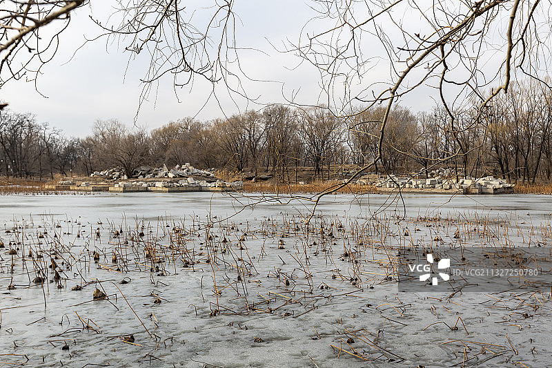 北京市皇家园林圆明园遗址公园：方壶胜境图片素材