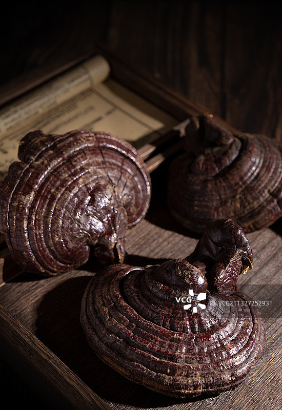 灵芝,药草,中医,古老的,营养品,中国元素,医术,医书图片素材