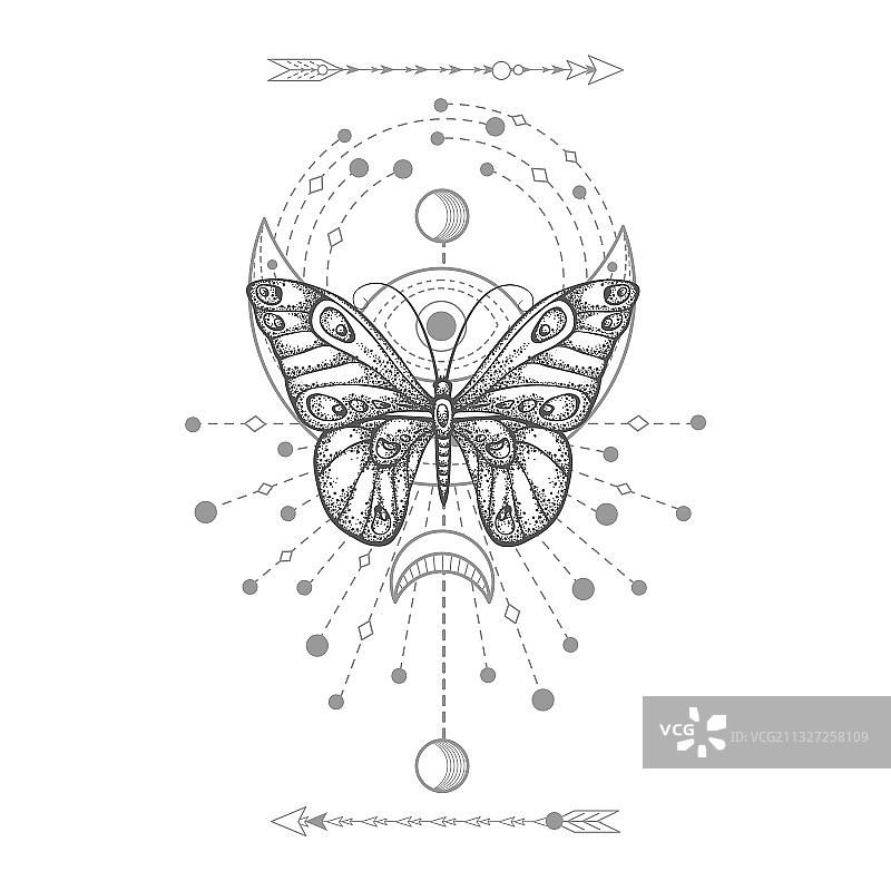 棕榈雨图片素材