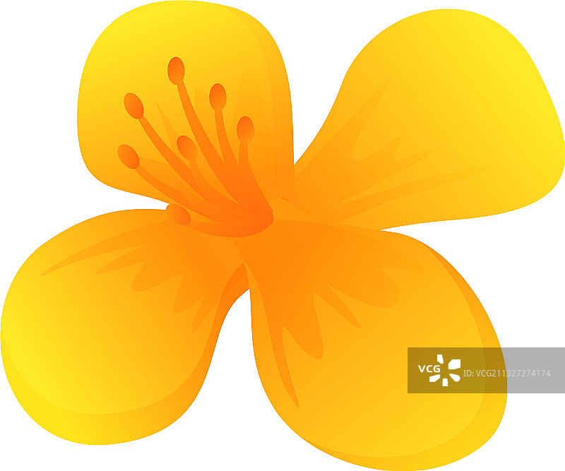 卡通风格的白屈菜植物花朵图标图片素材