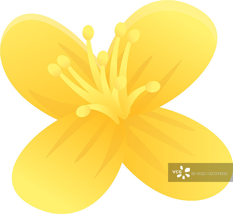 白屈菜花精油香薰卡通图标图片素材