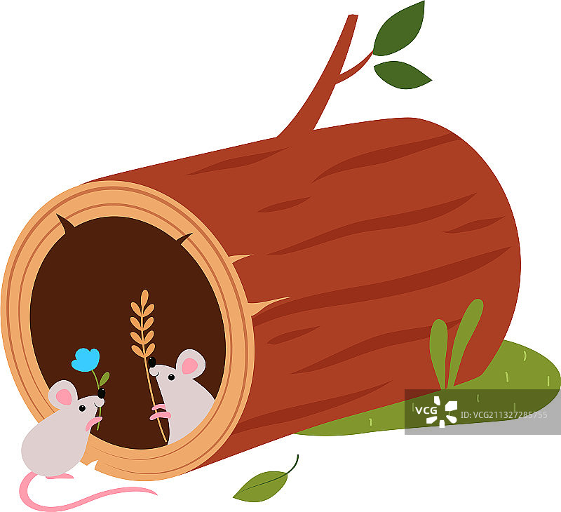 从树洞里探出头来的有趣的森林动物小老鼠图片素材