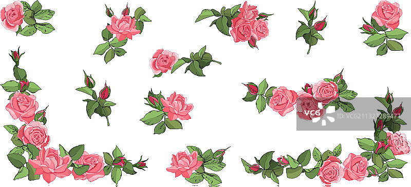 手绘粉色玫瑰花叶花苞素材图片素材