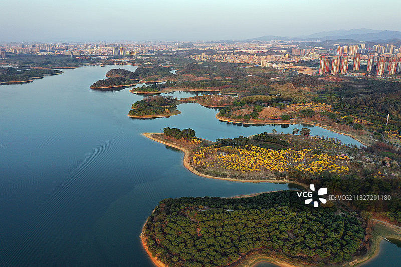 广东省东莞市大朗镇松山湖风景区松湖花海华为基地航拍图片素材