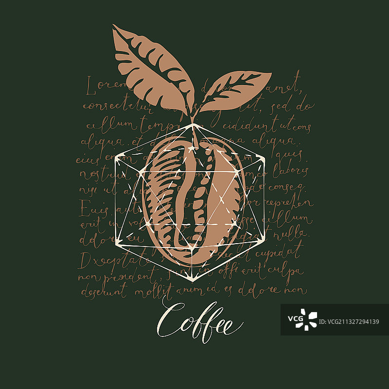 带有咖啡豆和lorem ipsum的旧咖啡banner图片素材