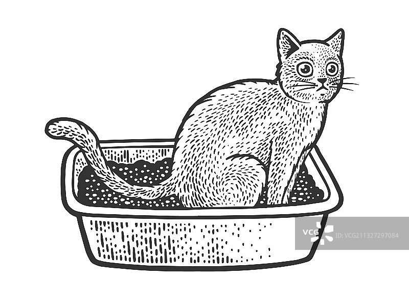 猫咪坐在猫砂盆上的简笔画图片素材
