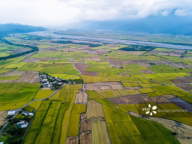 伯朗大道的稻田图片素材