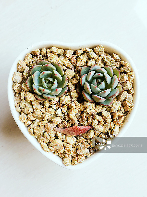 种一颗笑脸送给自己图片素材