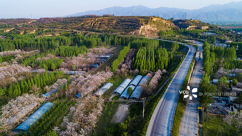 春天的乡村马路图片素材