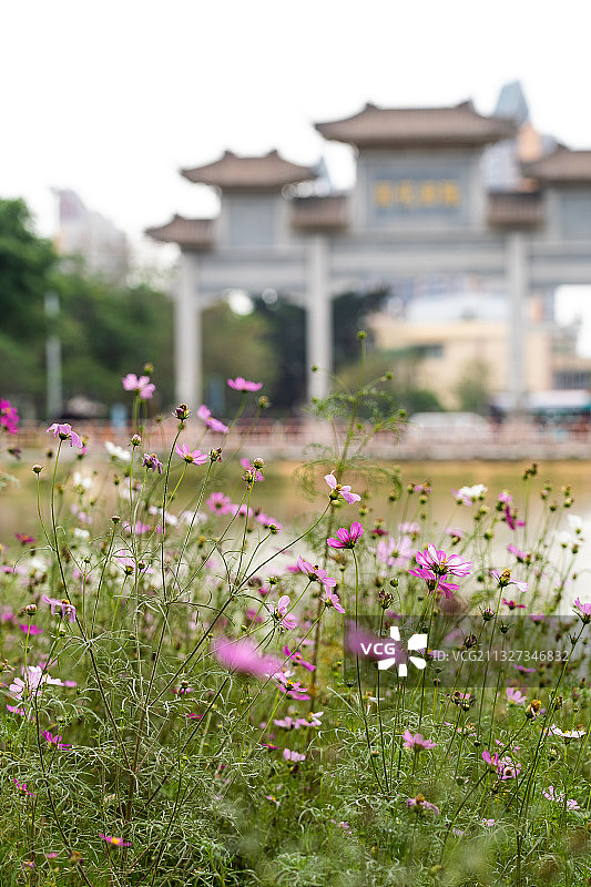 广东广州白云区黄石路陈田花园图片素材