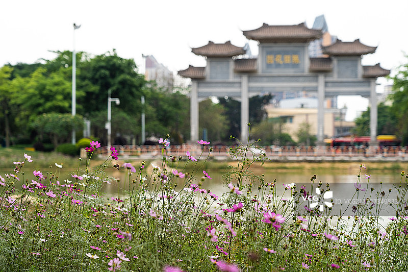 广东广州白云区黄石路陈田花园图片素材