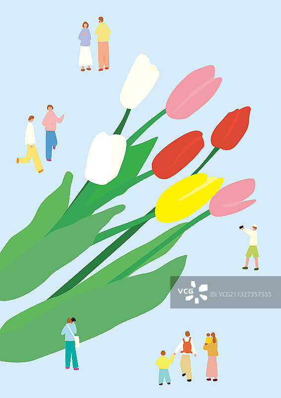 春季郁金香花卉景观图片素材