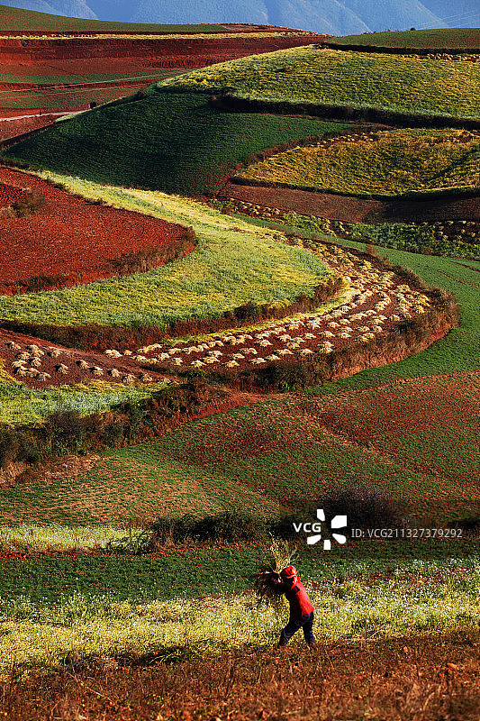 云南省昆明市东川市红土地自然人文风景区风光图片素材