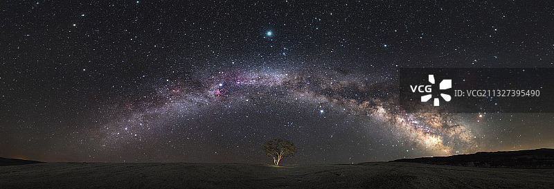 内蒙古银河小树图片素材