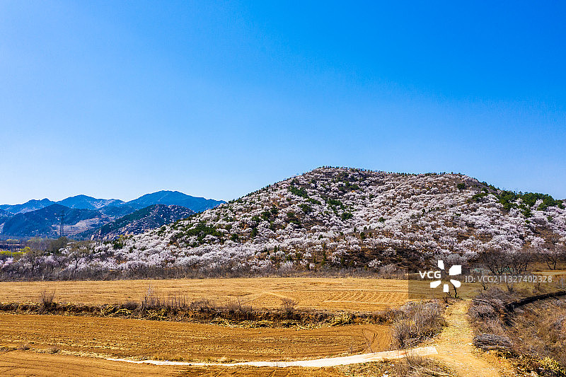 北京延庆区山村里的春天图片素材