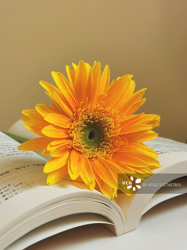 世界读书日图片素材