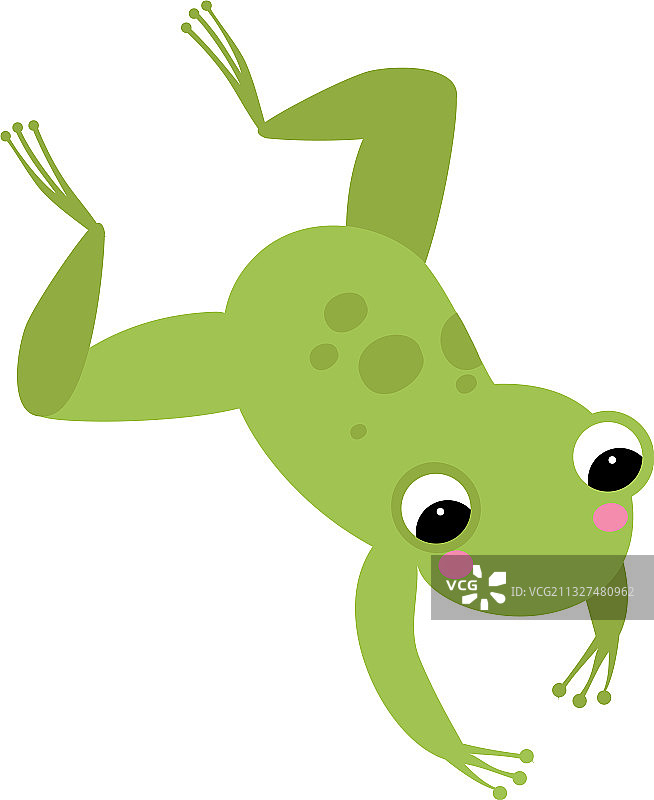 跳跃的可爱绿色青蛙图片素材