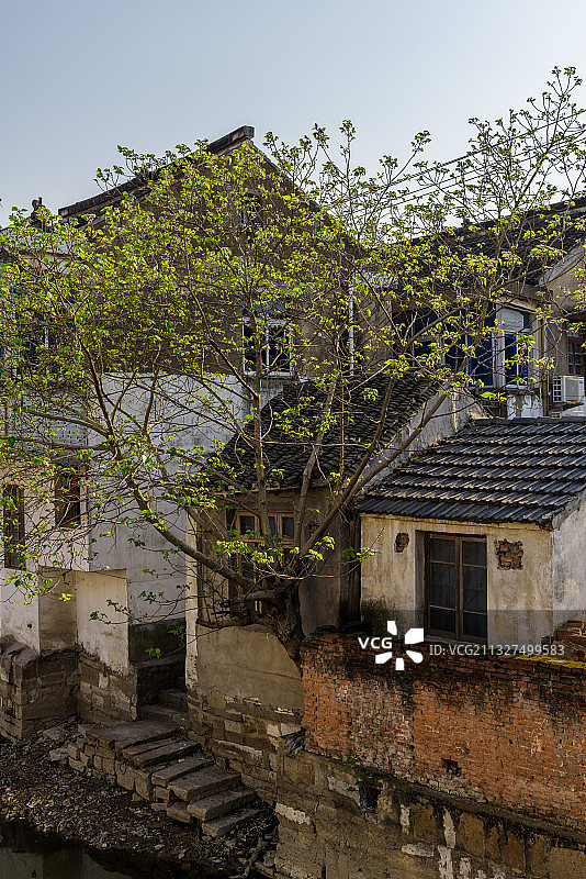 《平望古镇影像》图片素材