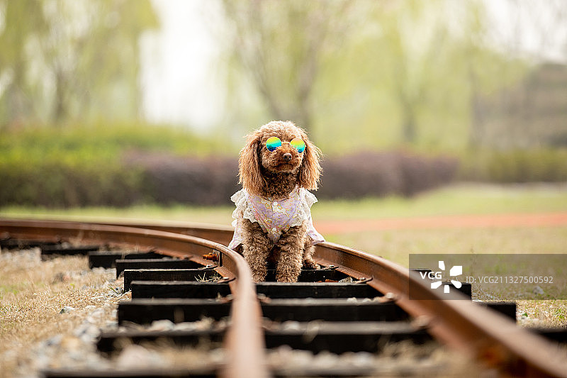等待在远方的你图片素材