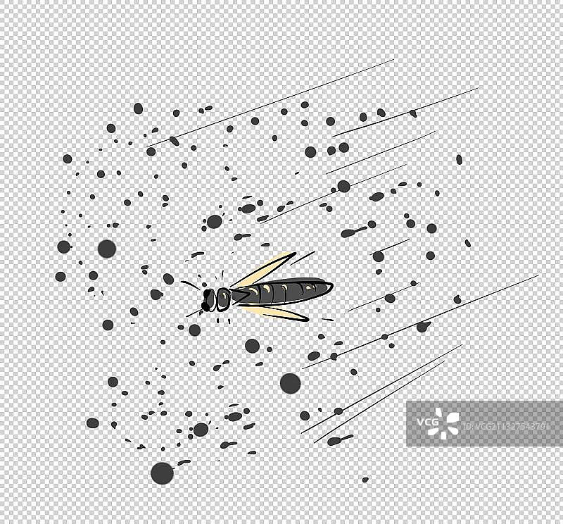 苍蝇蚊子害虫插画元素图片素材