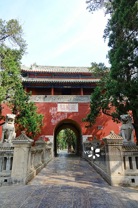 孔林 至圣林：曲阜“三孔”之一，孔子及其后裔的家族墓地图片素材