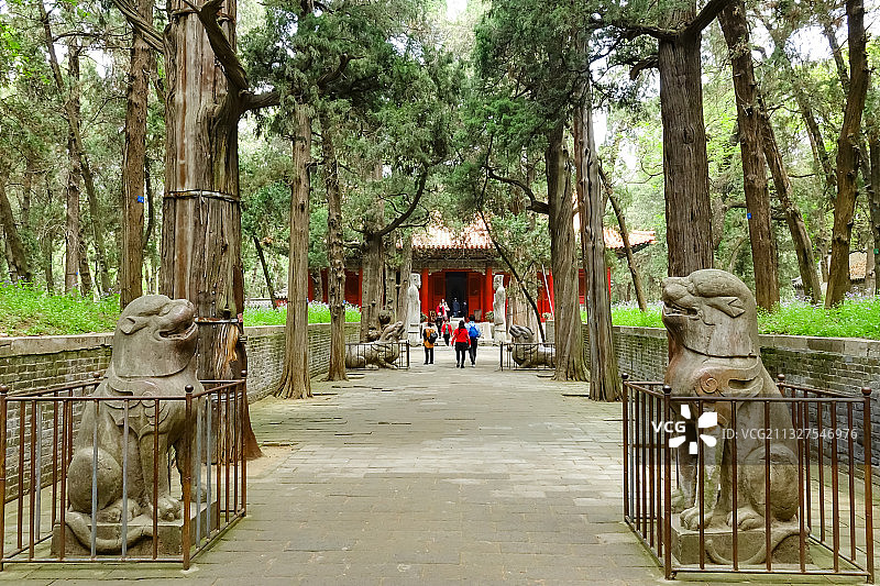 孔林 至圣林：曲阜“三孔”之一，孔子及其后裔的家族墓地图片素材