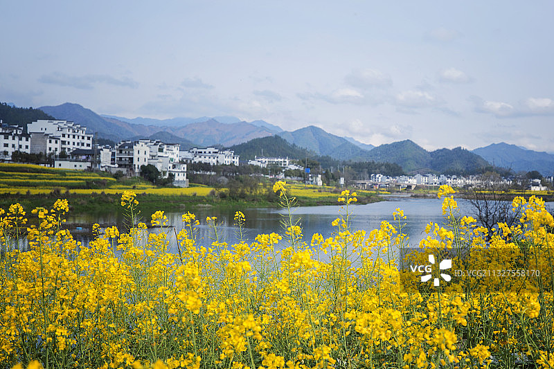 三月的婺源图片素材