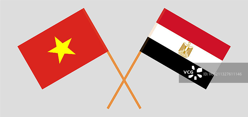 埃及和越南交叉旗帜图片素材