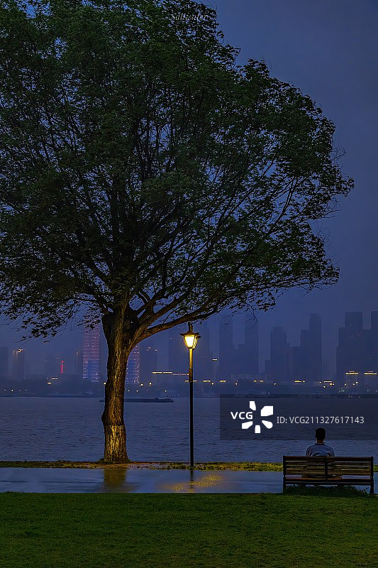 武汉江滩孤独的树图片素材