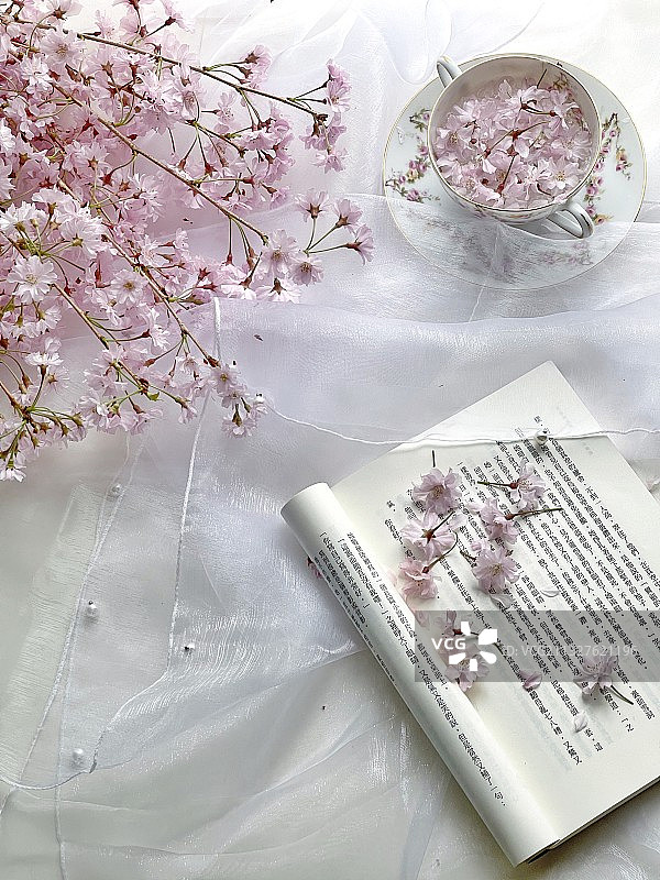 樱花有约图片素材