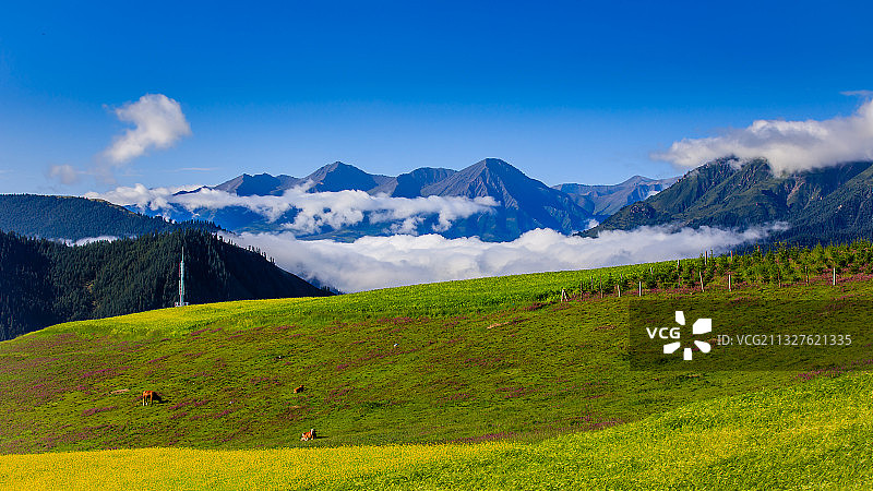 卓尔山图片素材