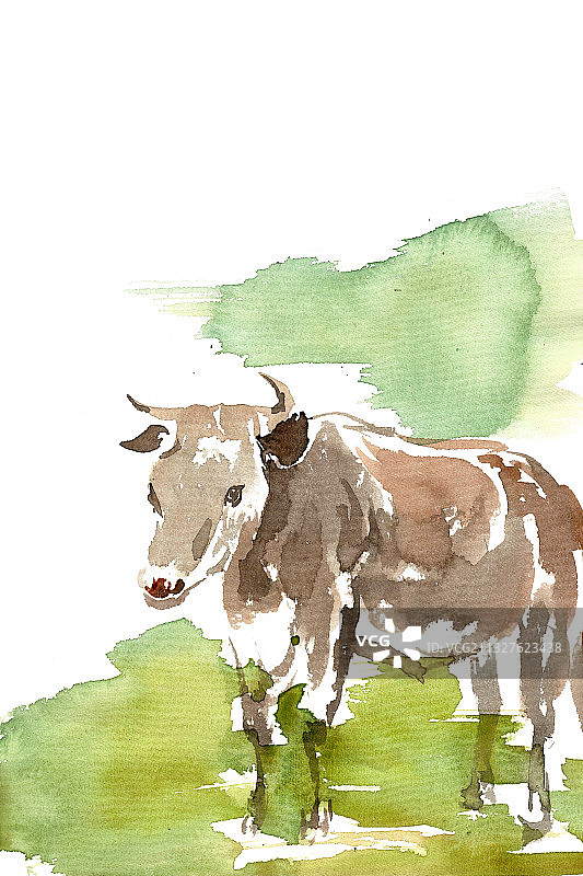 草地上的牛图片素材