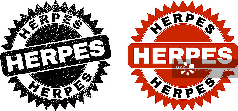 刮痕风格的黑斑海豹图片素材