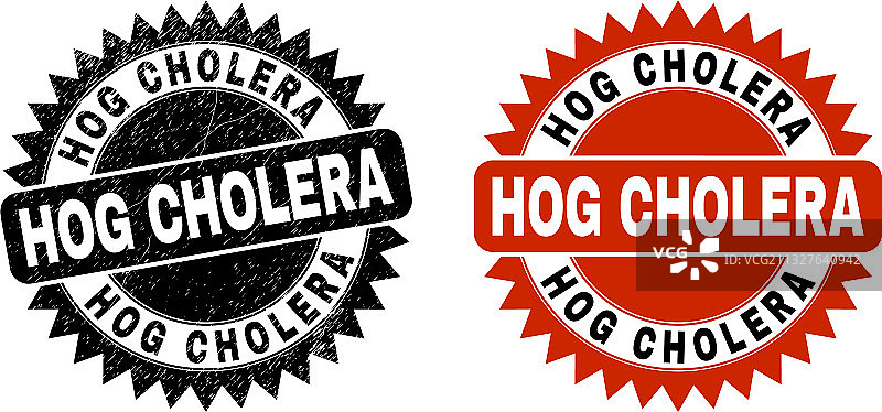 带有橡胶纹理的猪霍乱黑色花环印章图片素材