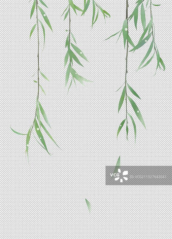 柳叶素材图片素材