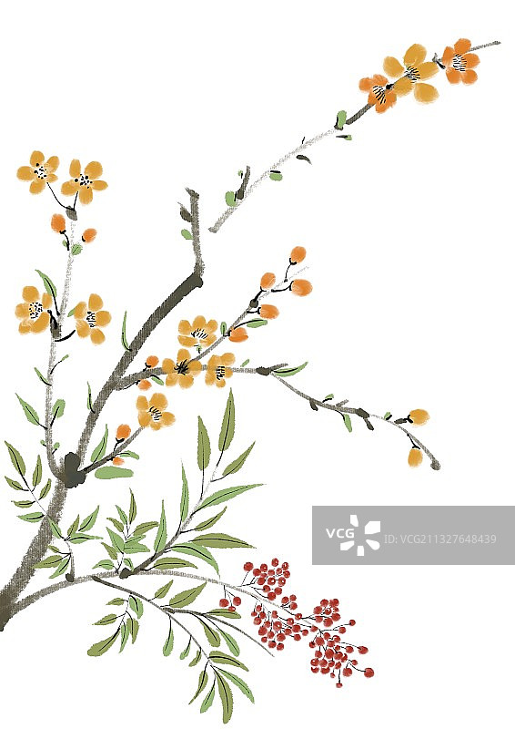 古风植物图片素材