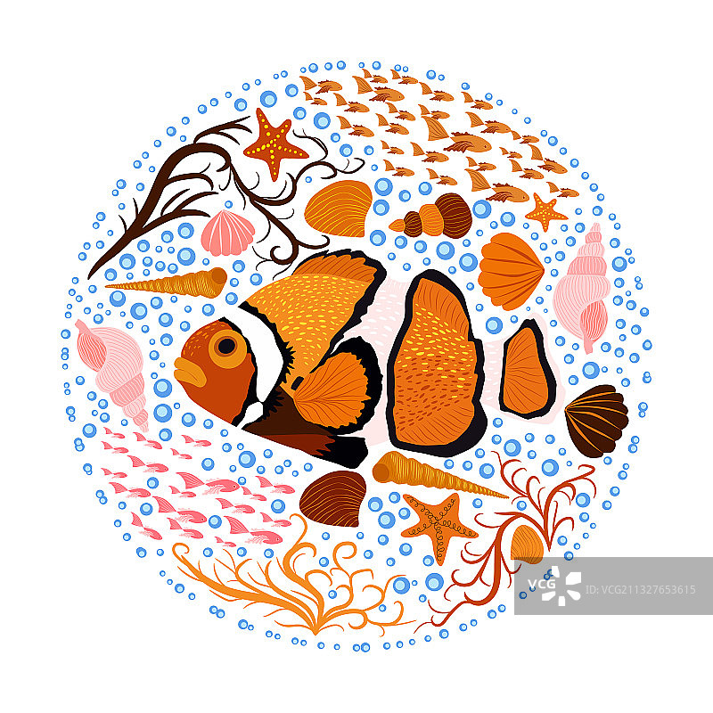 橙色明亮的海葵鱼图片素材