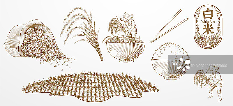 大米广告主题木版画插图图片素材